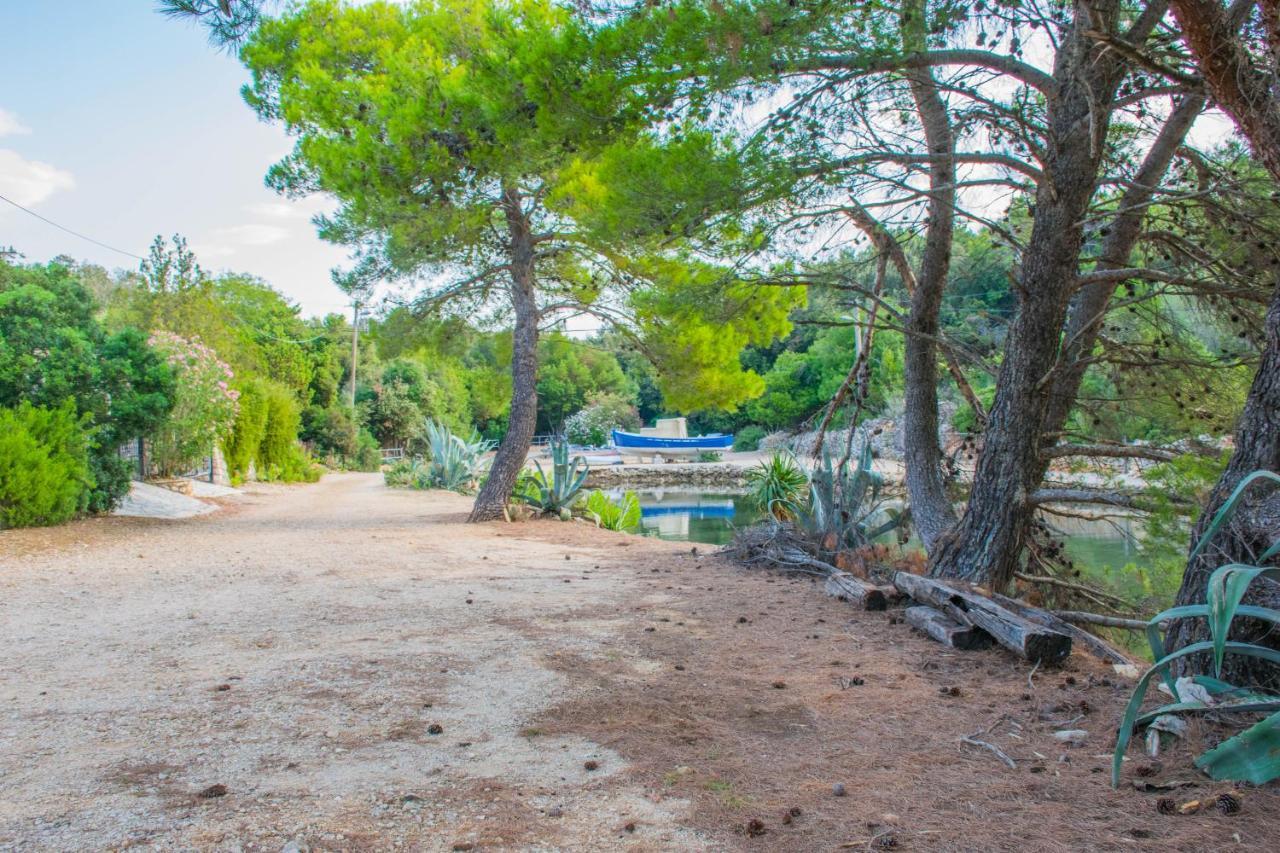 Holiday House Punta Blue & Orange 5M From The Sea, Island Cres Punta Križa Exteriör bild